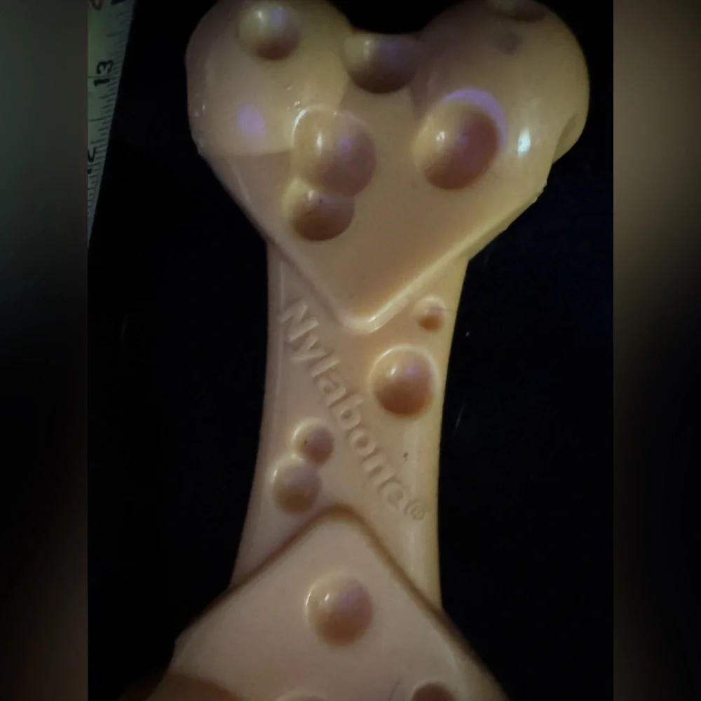 Nylabone L dog toy nylon cheese bone